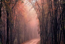 开云体育登录-芝加哥公牛翻盘HKA，369完成高光表现顶尖较量半决赛，引爆全场热议