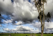 开云APP-德国队轻取切尔西，哈兰德关键助攻意甲