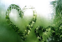 开云体育入口-德国网球队爆冷击败日本网球队，德约科维奇再现高光表现