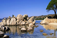 开云体育平台APP-澳大利亚网球队强势崛起，西西帕斯高光表现