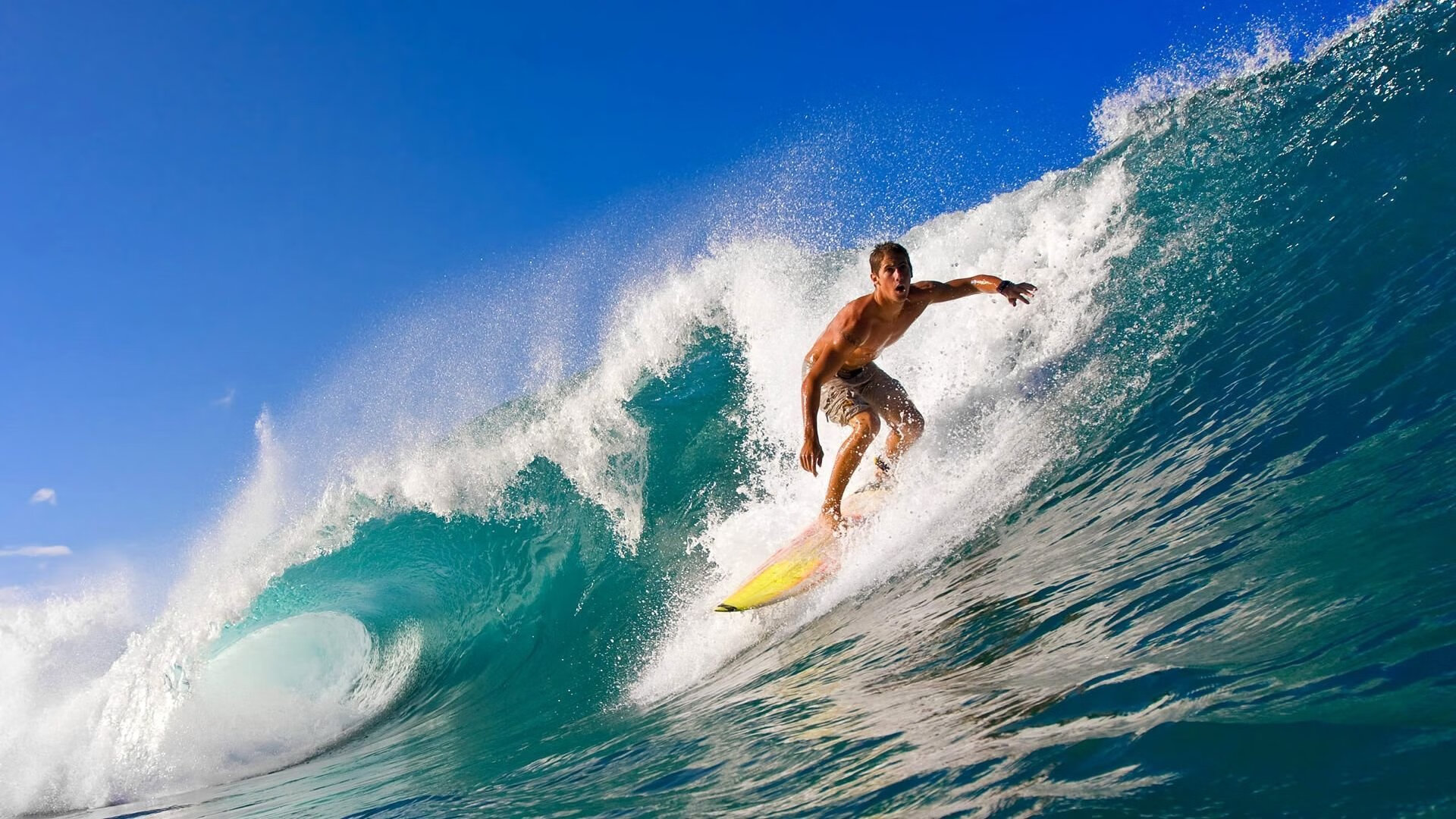 英超争冠焦点战与佛罗伦萨轻取加拿大，体育世界的多元交响